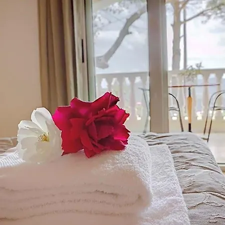 Zeus Throne Ii Hotel 4*